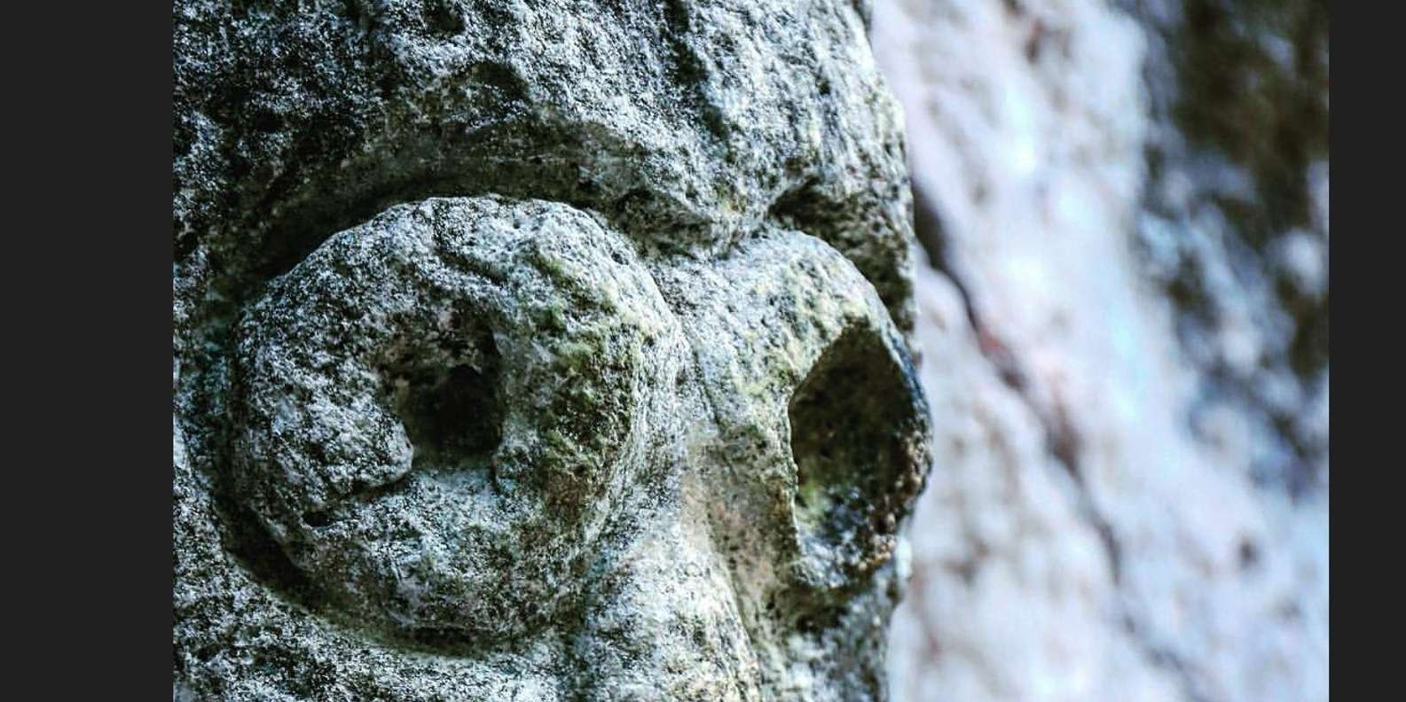 From Samana: Los Haitises Boat and Walking Tour with Lunch - Image 2