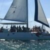 Saona Island Excursion from Punta Cana - Image 2