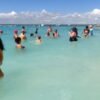 Punta Cana: Catalina Island Private Day Trip with Snorkeling - Image 2