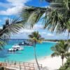 Punta Cana: Saona Island & Catamaran Party (Full Day) - Image 2