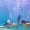Punta Cana: Guided Power Dive Adventure - Image 2