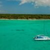 Catalina island snorkel with Food and drinks (Full Day) - Image 2