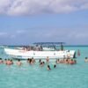 ⁦Punta Cana: Saona Island and Buggy Combo⁩ - الصورة ⁦11⁩