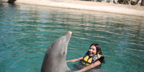 Puerto Plata Ocean World Dolphin Swim