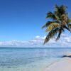 ⁦Full-Day Saona Island Tour by Speedboat⁩ - الصورة ⁦13⁩
