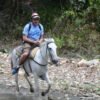 Puerto Plata: Zip Line, Horseback Riding, & Waterfall Combo - Image 13
