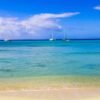 Punta Cana: Saona Island in Private Vehicle and Guide - Image 13