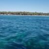 All-Inclusive Saona Island Day Trip from Punta Cana - Image 14
