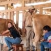 Punta Cana: Xploration Animal Park Bus Tour with Encounters - Image 14