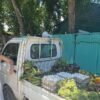 ⁦Going Deep Into The Authentic Dominican Neighborhood Tour⁩ - الصورة ⁦15⁩