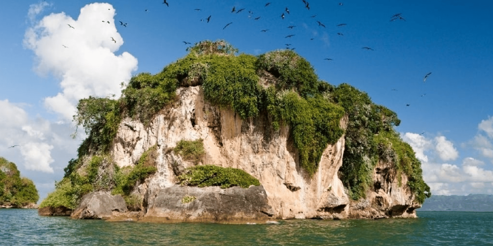 From Samana: Los Haitises Boat and Walking Tour with Lunch - Image 5