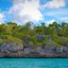 Punta Cana: Saona Island Full Day With Catamaran and Buffet - Image 4