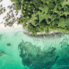 Whale Watching + Cayo Levantado - Imatge 5
