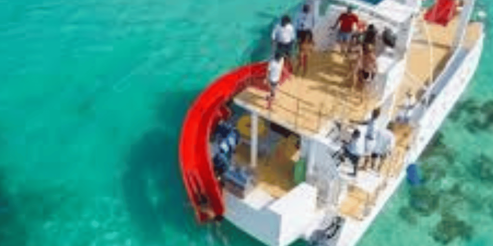 Punta Cana :Catamaran with Open Bar and Dolphin and Stingray Watching - الصورة 4