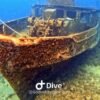 ⁦Bayahibe: Snorkeling Tour - Sea, Cotubanama park & Cenotes⁩ – תמונה ⁦4⁩