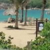 ⁦From Punta Cana: Macao Beach, Buggy Tour, and Taino Cenote⁩ - الصورة ⁦4⁩