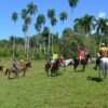 Salto de la Jalda – Horseback & Hiking Adventure From Miches - Image 2