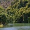 ⁦Full day buggy Safari with lunch and Chavon River Tour⁩ - الصورة ⁦5⁩