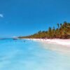 All-Inclusive Saona Island Day Trip from Punta Cana - Image 6