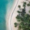 From Santo Domingo: Whale Watching & Cayo Levantado - Image 6