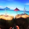 ⁦Samaná Whale Watching & Cayo Levantado (Bacardi Island) From Cap Cana⁩ - الصورة ⁦14⁩