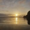 Caño Hondo : Los Haitises Sunrise or Sunset Private Kayak Excursion with Locals - Image 33