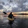 Caño Hondo : Los Haitises Sunrise or Sunset Private Kayak Excursion with Locals - Image 36