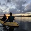 Caño Hondo : Los Haitises Sunrise or Sunset Private Kayak Excursion with Locals - Image 45