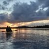 Caño Hondo : Los Haitises Sunrise or Sunset Private Kayak Excursion with Locals - Image 52