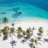 ⁦Whale Watching and Cayo Levantado Tour: A Perfect Tropical Getaway⁩ - الصورة ⁦6⁩