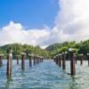 ⁦Las Terrenas: Los Haitises & Bacardi Island (Cayo Levantado)⁩ - الصورة ⁦4⁩